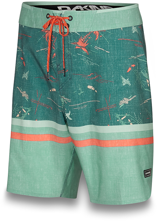 Бордшорты Dakine PAVONES 19"
