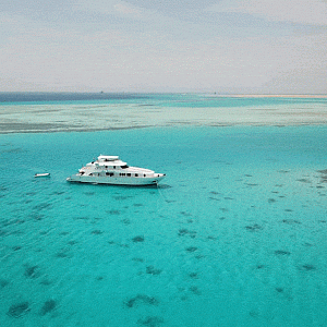 Кайт сафари Одиссея