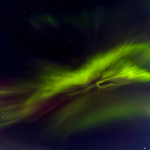 Белоснежная тундра